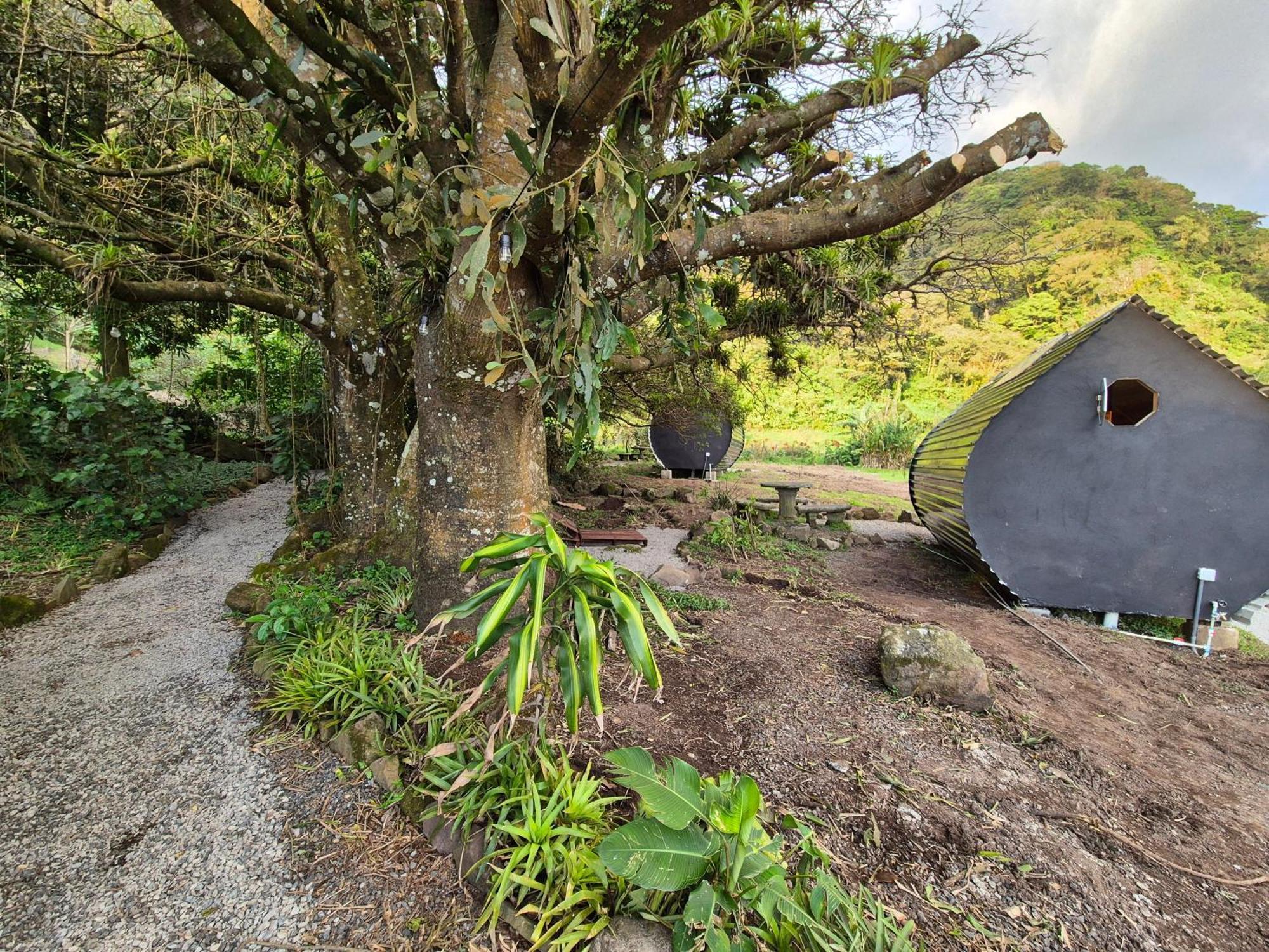 Glamping モンテベルデ エクステリア 写真
